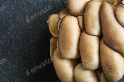 Preview: Oyster Mushrooms, Fresh And Ripe, Keto Or Paleo Diet Menu Concept Background. Top View. Copy Spaces