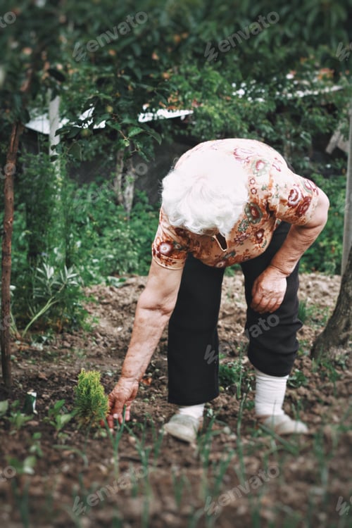 Preview: Old woman in the garden
