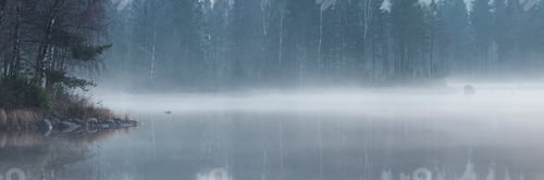 Preview: Wide angle shot of mist on the water surrounded by trees