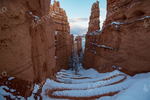 Preview: Winter Bryce