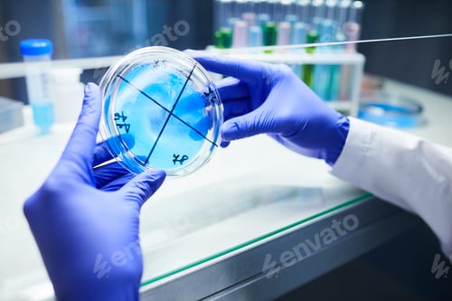 Preview: Petri Dish Experiment