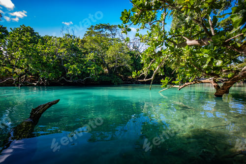 Preview: The Blue Lagoon, Port Vila, Efate, Vanuatu