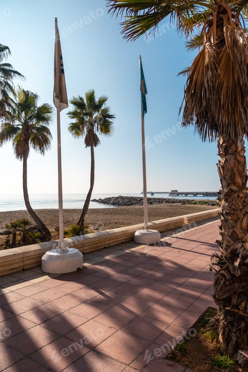 Preview: Palm trees on the Playa de San Miguel in the city of Almeria, Andalucia. Spain