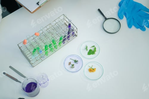 Preview: Top view of lab samples with test tubes, plant specimens in petri dishes, and analysis tools