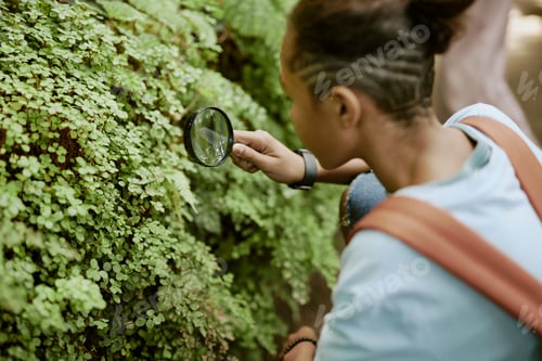 Preview: Black Boy Looking Closer At Maidenhair Fern