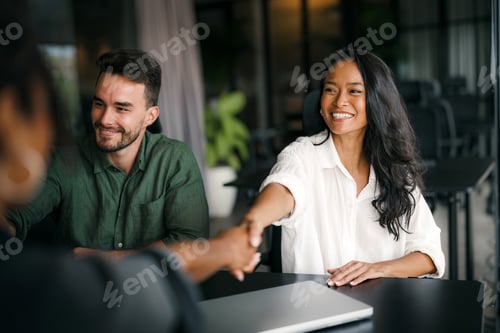 Preview: Handshake of happy young business woman and business man at office meeting