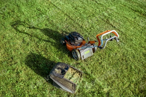 Preview: Gasoline lawn mower with basket full of grass outdoors