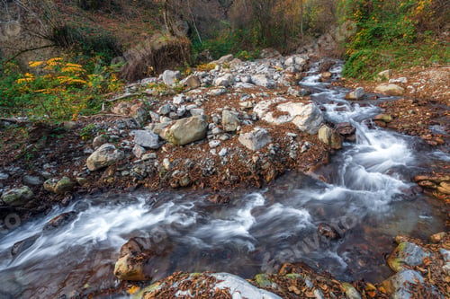 Preview: Fast mountain river in the forest in autumn