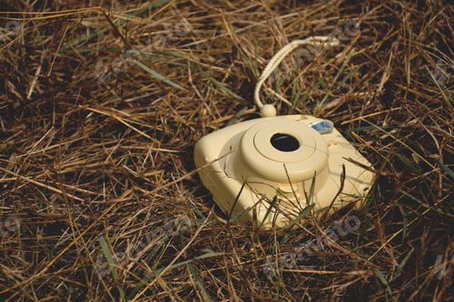 Preview: Yellow instant camera laying on a yellow dry grass