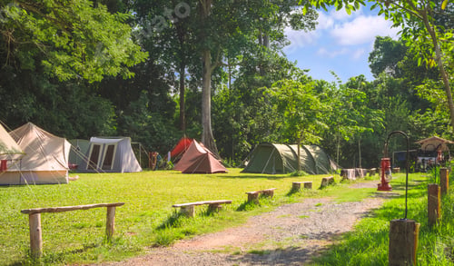 Preview: Field tents group on green lawn in outdoors Campsite area with greenery background at natural Park