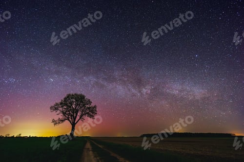 Preview: Oak tree with a Milky way galaxy. Night sky with stars