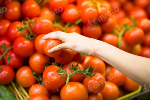 Preview: Female Hand Choosing Tomato In The Store