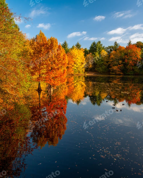 Preview: Autumn landscape with vibrant foliage and lake reflection.