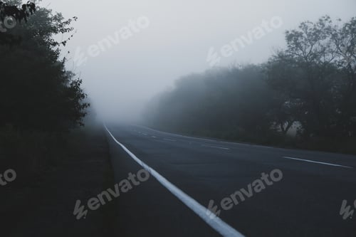 Preview: Foggy morning road. Beautiful summer morning. Travel