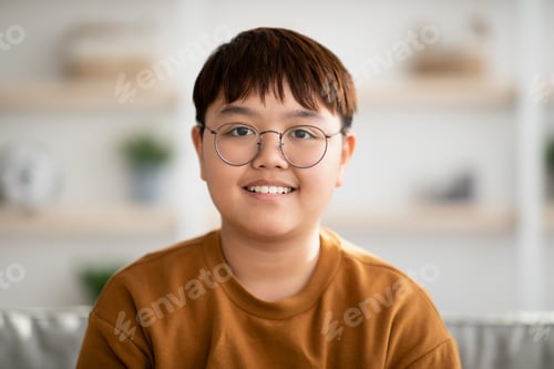 Preview: Closeup portrait of cheerful chubby asian kid smiling at camera