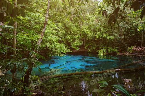 Preview: Blue or emerald pool in National park Sa Morakot, Krabi, Thailand.