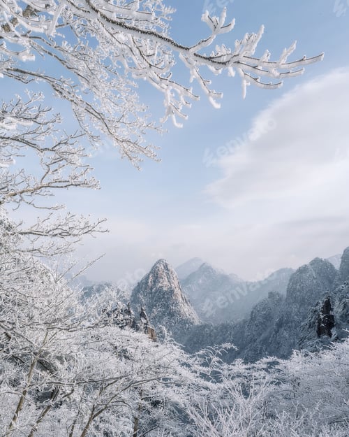 Preview: snow covered trees and mountains in the distance with a bright blue sky in the background