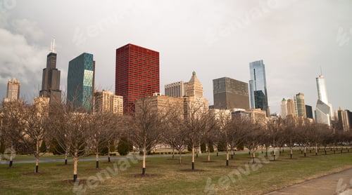 Preview: Downtown Chicago Illinois Skyline Stark Winter Park Trees