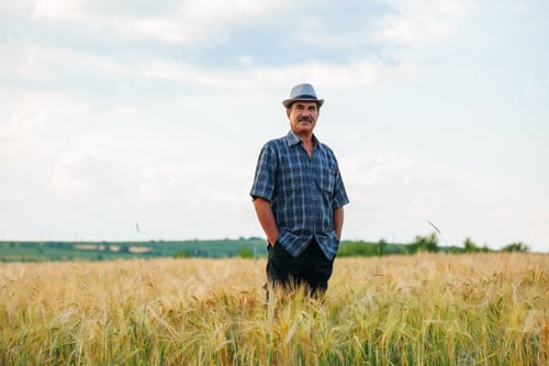 Preview: aged male farmer with his hands in his pocket, front view in the wheat field