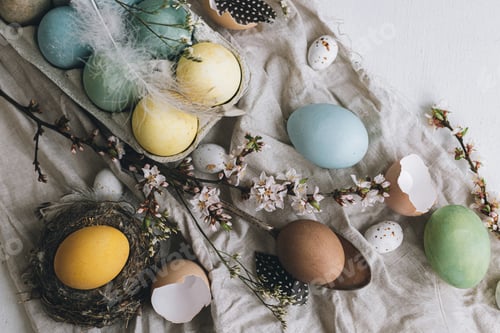 Preview: Happy Easter! Stylish rustic Easter flat lay. Natural eggs, blossoms, feathers, nest composition