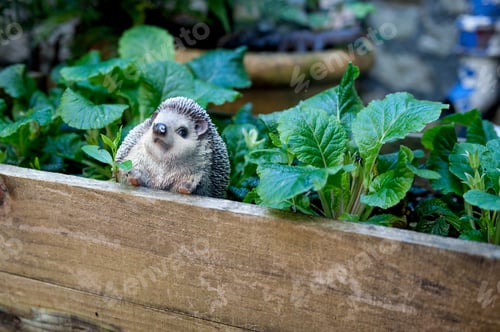 Preview: Charming Hedgehog Ornament Nestled Among Lush Greenery