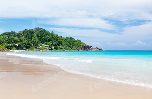 Preview: Tropical beach with palm trees