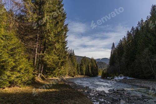 Preview: Scenic view of evergreen forest, mountain river and blue sky
