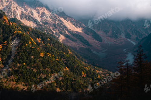 Preview: landscape in beautiful forest with colorful trees. Leaves of fall in nature. Autumn season in Japan