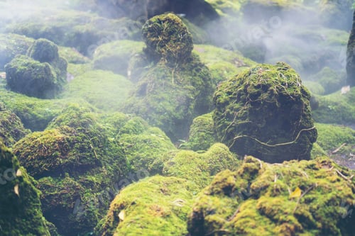 Preview: Hot Springs In National Park And Natural Mineral