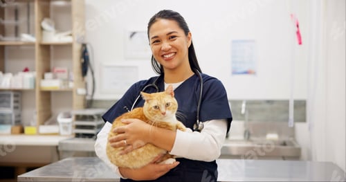 Preview: Cat, portrait and veterinarian in animal clinic for healthcare, medical or pet treatment. Feline do
