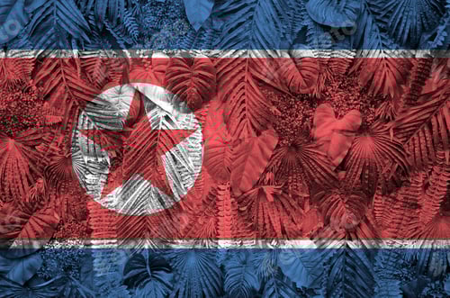 Preview: North Korea flag depicted on many leafs of monstera palm trees. Trendy fashionable background