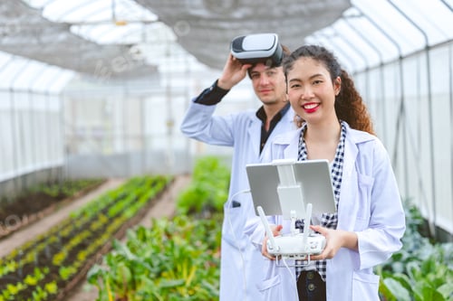 Preview: Researcher using drone controller with fly view glasses monitor plant growing in Agriculture farm.