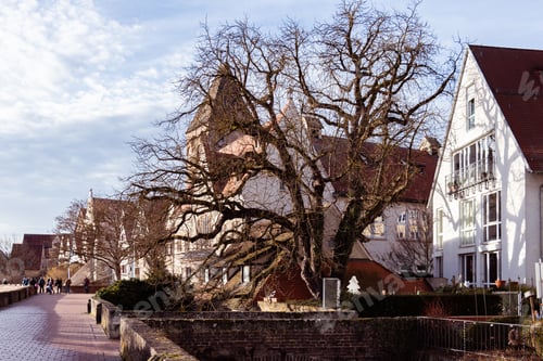 Preview: old wooden beam houses with white and orange plaster. Fishermen's Quarter. Ulmer Stadtmauer.
