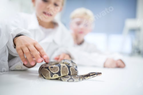 Preview: Pupils in science class examining snake