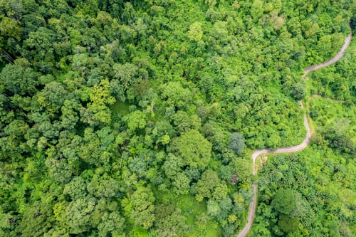 Preview: Top view of countryside road passing through the green forrest and mountain