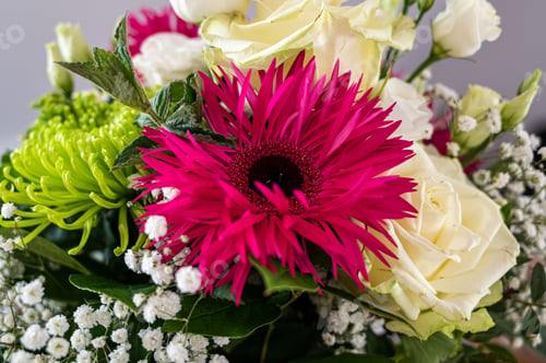 Preview: Closeup view of a bouquet with white roses, pink alpine aster, and green spider mum flowers