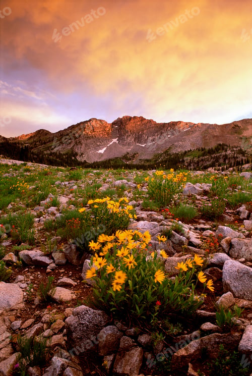 Preview: Little Cottonwood Canyon, with the Devil's Castle mountain peak, in the Wasatch mountain range.