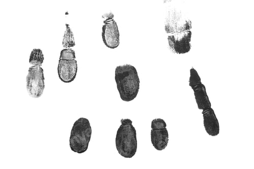 Preview: fingerprint hand palm texture png isolated