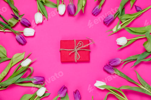 Preview: gift and tulips