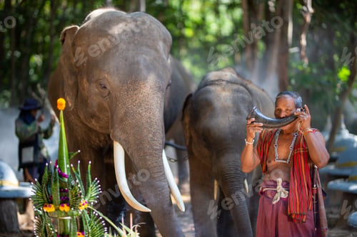 Preview: Farmer and Elephant at rice field against sunrise in Thailand.