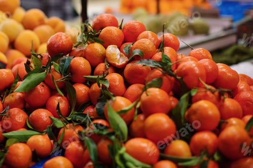 Preview: orange