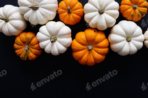 Preview: Halloween flat lay composition of black bats and pumpkins on orange background. Halloween concept.