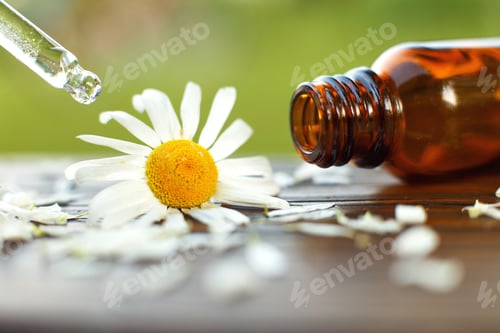 Preview: Chamomile essential oil brown glass bottle with a pipette with drop on a wooden table outdoor.