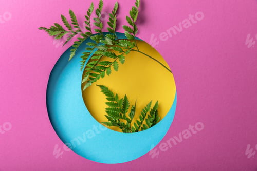 Preview: green decorative fern leaves on colorful paper background