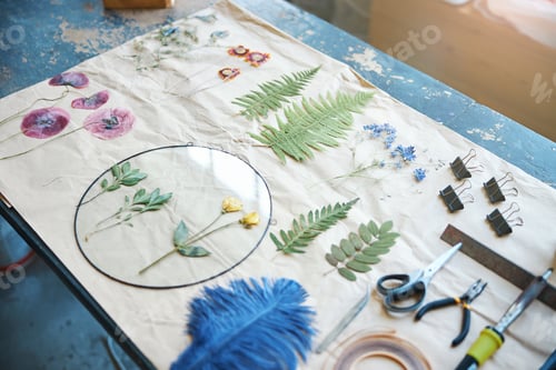 Preview: Herbarium of various plants and flowers on sheet of paper