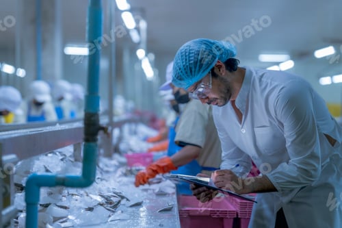 Preview: Industrial food production line with a worker ensuring process accurac
