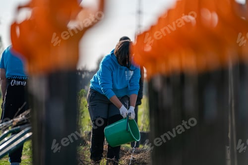 Preview: Group of people harvesting leaves from trees and watering them