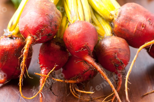 Preview: Closeup shot of fresh sugar beets in the kitchen
