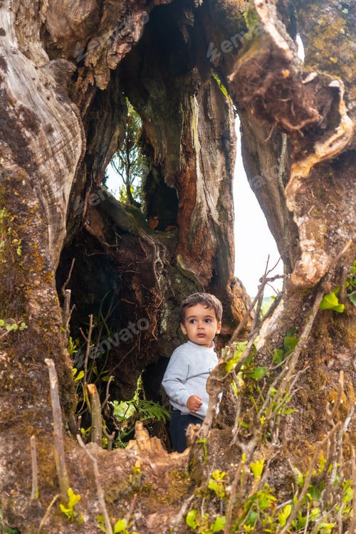 Preview: Fanal forest in Madeira, baby portrait in the cave of a laurel tree exploring the interior