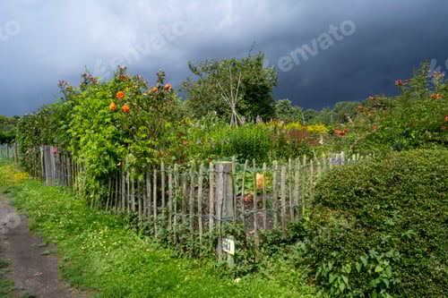 Preview: Garden allotment